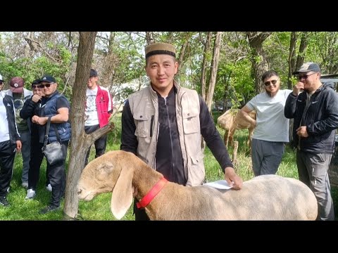 Видео: #Талас выставка. 29.04.2025