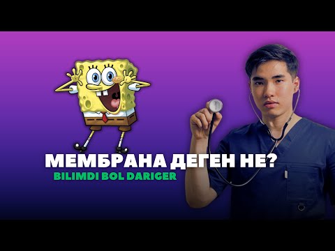 Видео: МОЛЕКУЛЯРЛЫҚ БИОЛОГИЯ 5-ШІ САБАҚ І Мембрана деген не І Фосфолипид І Мембрана құрылысы І ҚЫЗМЕТІ