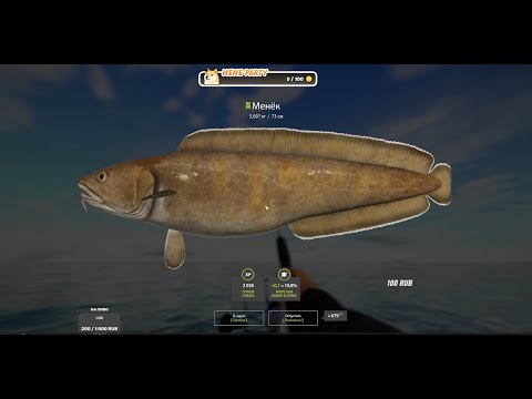 Видео: НОРВЕЖСКОЕ МОРЕ, ЛУЧШЕ ВСЕГО КЛЮЕТ НА ПОРОЛОНОВУЮ РЫБКУ. #2