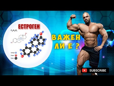 Видео: ЕСТРОГЕН -ВАЖЕН ЛИ Е ТОЙ ???