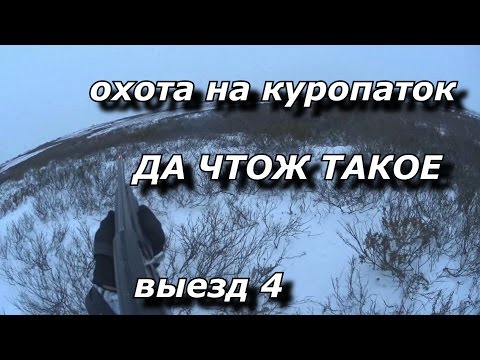 Видео: охота на куропаток  ДА ЧТОЖ ТАКОЕ выезд 4