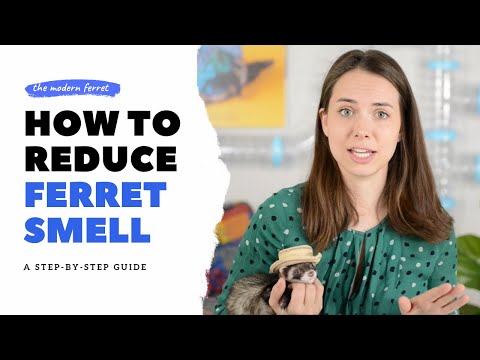 Видео: ЗАПАХ ХОРЬКА: КАК ЕГО УСТРАНИТЬ!
