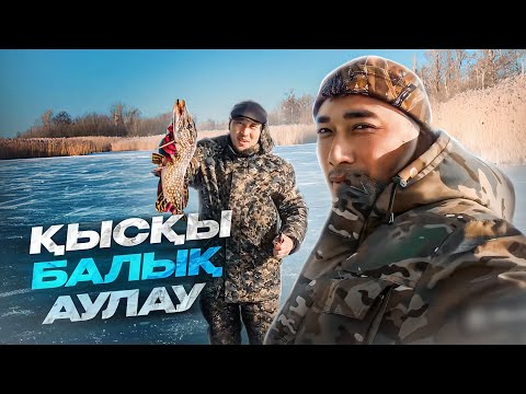Видео: ҚЫСҚЫ БАЛЫҚ АУЛАУ. ҚАЗАҚСТАН. ҚЫЗЫЛОРДА. ( НАНСАЙ ) ШОРТАН. РЫБАЛКА В КАЗАХСТАНЕ. КЫЗЫЛОРДА. ЩУКА!!!