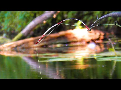 Видео: Крупный КАРАСЬ на БОКОВОЙ КИВОК в зарослях .