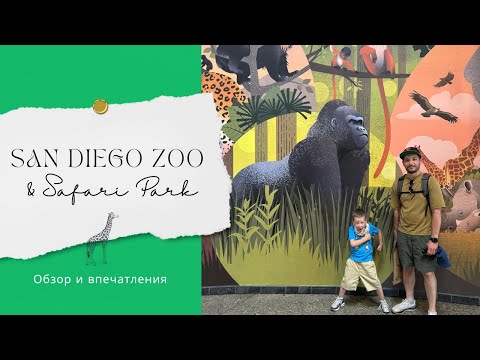 Видео: San Diego Zoo и Safari Park: обзор и впечатления