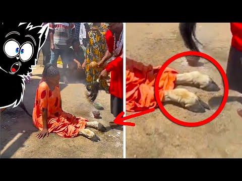 Видео: ЖУТКАЯ ЕРУНДА СНЯТАЯ НА КАМЕРУ [Черный кот]