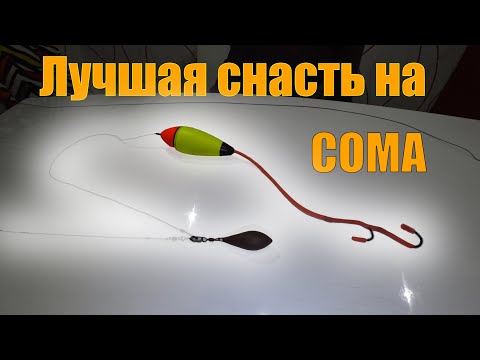 Видео: Лучшая снасть на СОМА