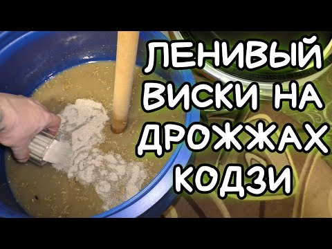 Видео: Домашний "ВИСКИ" на дрожжах кодзи (самогон из зерна)