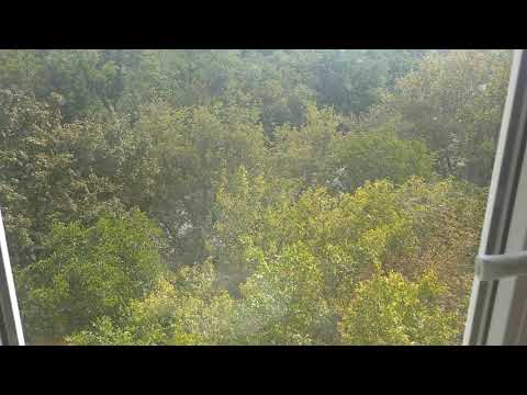 Видео: ЗАПОРОЖЬЕ ЛЮДИ БОЯТСЯ...08.09.25