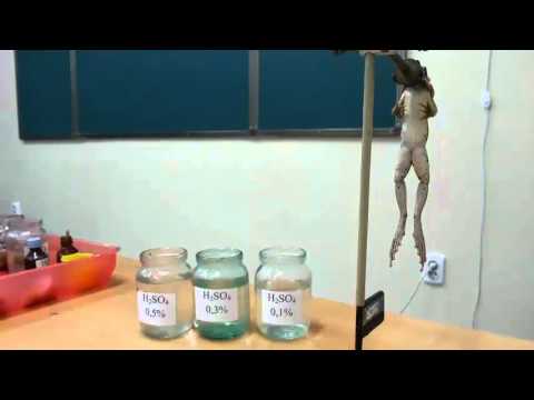 Видео: Определение времени рефлекса по Тюрку | Түрік бойынша рефлекс уақытын анықтау