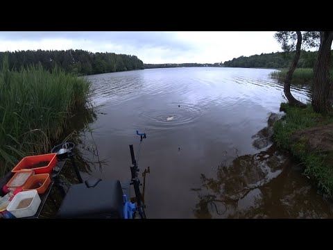 Видео: НОЧНАЯ ЛОВЛЯ ЛЕЩА ФИДЕРОМ НА ВОДОХРАНИЛИЩЕ ПТИЧЬ. 🐟🐟🐟МИФИЧЕСКИЕ ЛЕЩИ ВСЕ-ТАКИ СУЩЕСТВУЮТ🐟🐟🐟
