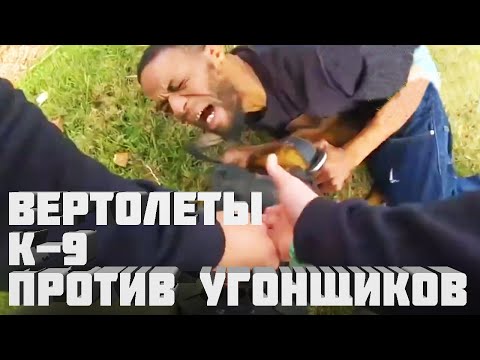 Видео: США Бразилия Задержания преступников