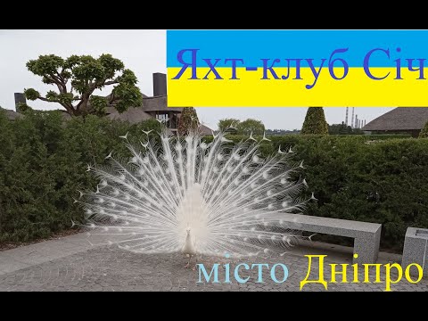 Видео: місто Дніпро Яхт-клуб Січ / Дніпропетровська обл / Прогулянка по місту / Життя це рух / річка Дніпро