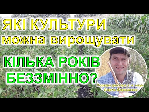 Видео: Які рослини можна вирощувати в монокультурі