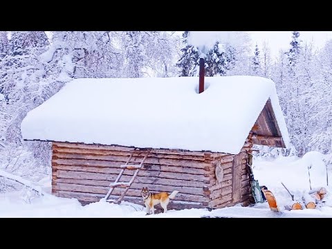 Видео: ЖИВУ В ВЕТХОЙ ИЗБЕ / СЕГОДНЯ НАТКНУЛСЯ НА БОЛЬШУЮ СТАЮ КОСАЧЕЙ / ОХОТА НА БОРОВУЮ ДИЧЬ В ГЛУХОЗИМЬЕ.