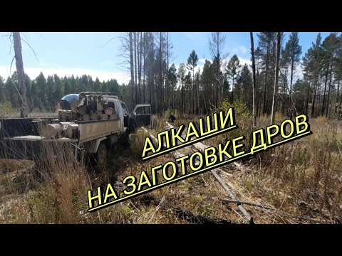 Видео: БУХАЛ ЦЕЛЫЙ МЕСЯЦ, И ПОЕХАЛ ГОТОВИТЬ ДРОВА‼️‼️‼️