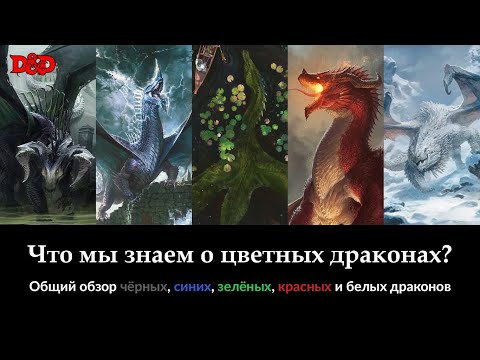 Видео: Что мы знаем о цветных драконах? | D&D Lore