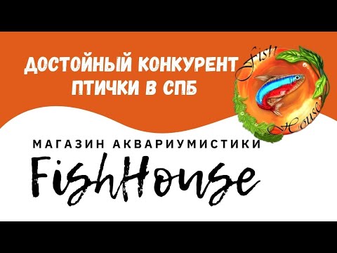 Видео: АКВАРИУМНЫЙ МАГАЗИН ПИТЕРА  ,, FishHouse " 💧🐌🐟🦐🐡🐠