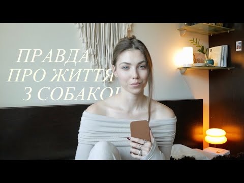 Видео: Що варто знати перед заведенням собаки. Мій досвід у 5 пунктах