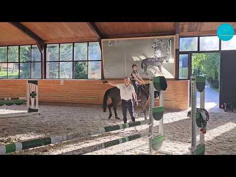 Видео: Пронин Ратмир и Инвиктус Блэк Оникс. Мастер класс от Olivier Billaud (FEI Coach), Алматы, 27-05-24