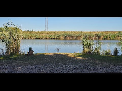 Видео: Рыбалка на ФАЗЕНДЕ РЫБАКА. Рыба здесь дурная