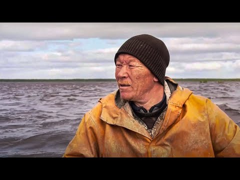Видео: Рыбалка сетями с хантами. Щуки - монстры! Язь! Рыбалка на Крайнем Севере | С полем! Лучшие выпуски