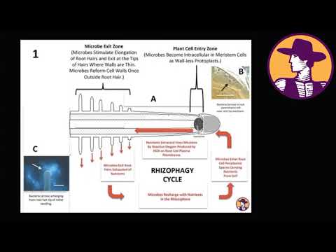 Видео: Джон Кэмпф Все о правильной почве и здоровье.