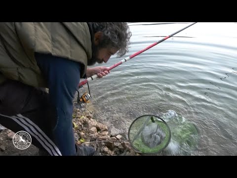 Видео: 🎣Рибарски приказни  „ Дебарско езеро 2“ #ribolov #fishing #prikazni  #ribarski #makedonski🦌🐟