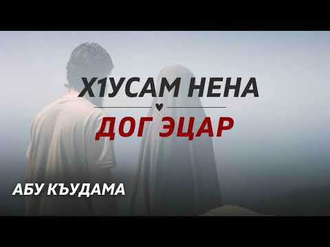 Видео: Хlусам нена дог эцар...