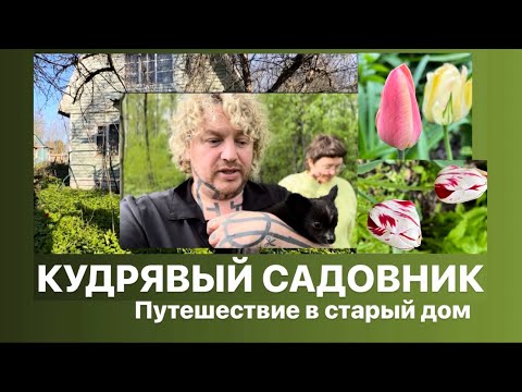 Видео: Кудрявый Садовник ( Путешествие в старый дом! )