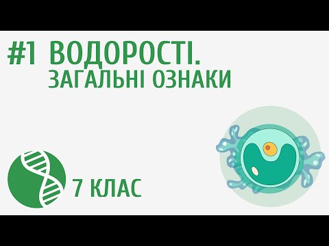 Видео: Водорості. Загальні ознаки #1