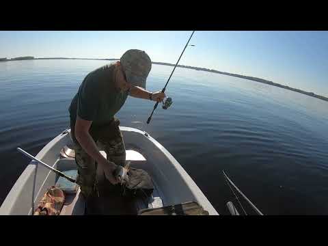 Видео: Поехали за щукой ,а поймали голавля!Тейл-спиннер в деле!