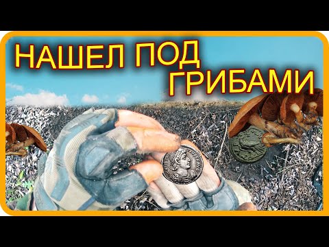 Видео: ПЕРВЫЙ КОП 2021 года НАШЕЛ ДОРОГИЕ МОНЕТЫ на грибном месте РИМа