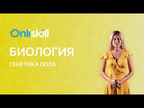 Видео: Биология 11 класс: Генетика пола. X и Y хромосомы. Видеоурок