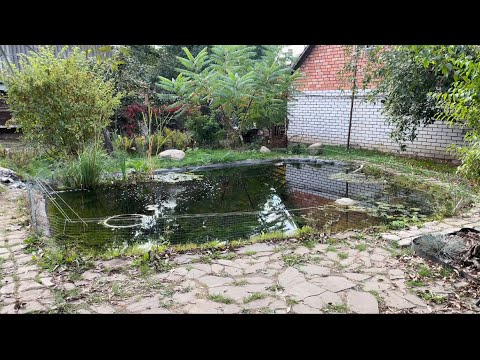 Видео: Этот фильтр для пруда РАБОТАЕТ!!!#фильтрдляпруда#прудсбиоплато#koi