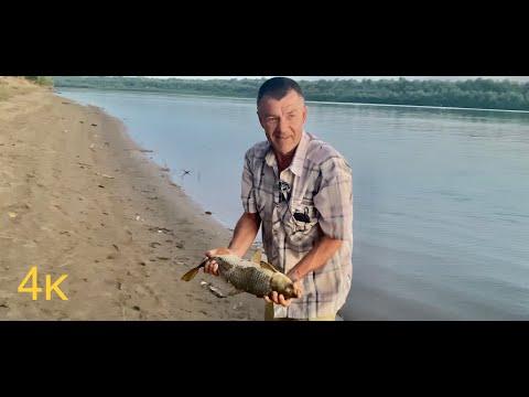 Видео: Рыбалка на сазана в Ахтубе 2022.