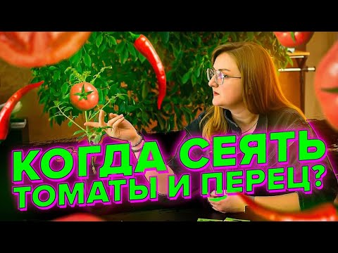 Видео: ОШИБКИ ПРИ ПОСЕВЕ СЕМЯН НА РАССАДУ. КОГДА СЕЯТЬ ПЕРЕЦ, ТОМАТЫ?