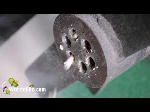 Видео: Экономичный корм для рыб Приготовление корма для рыб в домашних условиях на экструдере