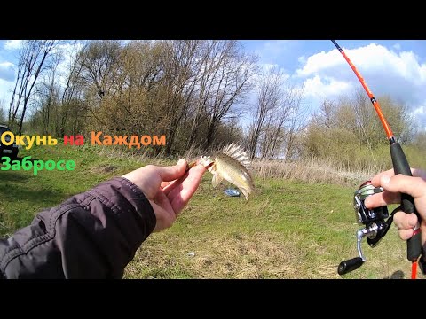 Видео: Бешеный клёв Окуня.Поклёвки на каждом забросе!!