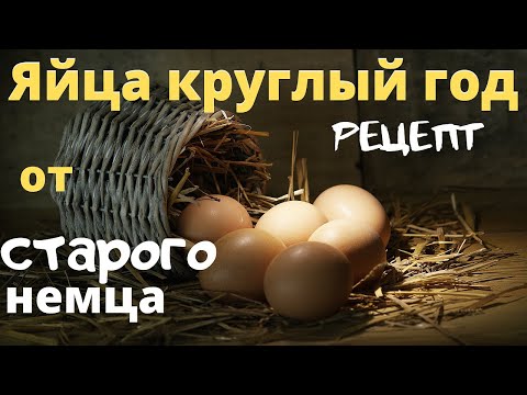 Видео: Чтобы куры несушки неслись весь год надо...