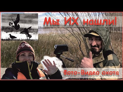 Видео: Снова на паучий остров. Фото-Видео охота