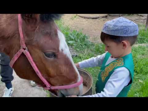 Видео: 23 апреля 2025 г.