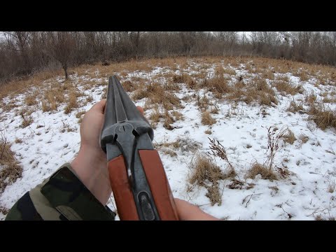 Видео: Охота на кабана с ружьем