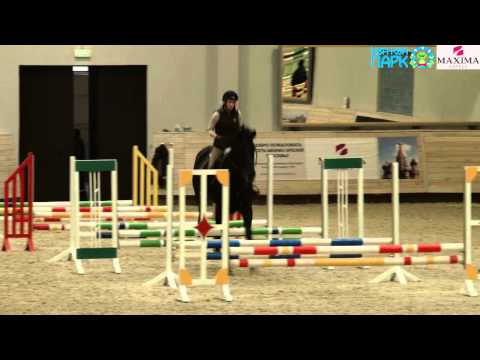 Видео: Мастер-класс для конкуристов с Куртом Гравемайером  в Maxima Stables 2- 2