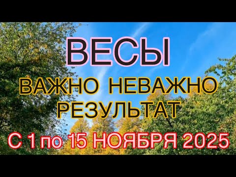Видео: ВЕСЫ -  С 01  ПО 15  НОЯБРЯ  2025 | ВАЖНО! | НЕ ВАЖНО! | РЕЗУЛЬТАТ | ПРОГНОЗ ОТ NATALLIA  MARKOWSKA