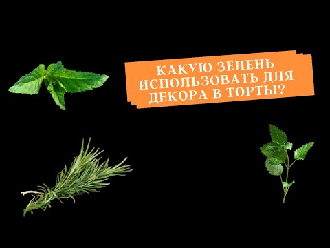Видео: Зелень для декора в торты