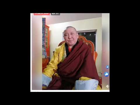 Видео: Гантемер Гавж Ламтан -Алтангэрэл”-ийн сан , даллага