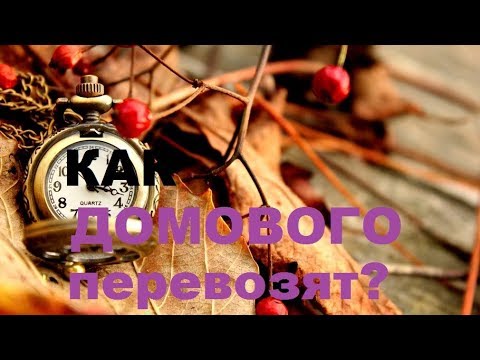 Видео: ЧТО НИКОГДА НЕЛЬЗЯ ЗАБЫВАТЬ ПРИ ПЕРЕЕЗДЕ?  все важные правила переезда!