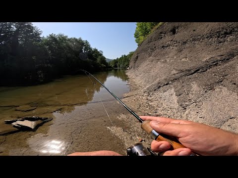 Видео: Голавлиная рыбалка в начале июля, в чистейшей горной реке
