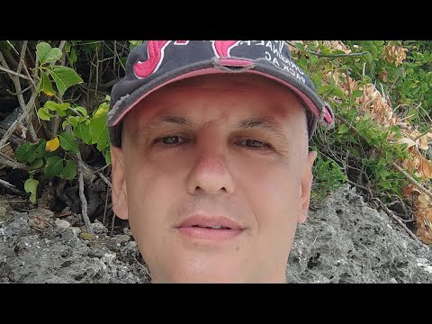 Видео: 4 жизненных стратегии. Вас никто не защитит, кроме вас самих. #уроки жизни не погуляешь